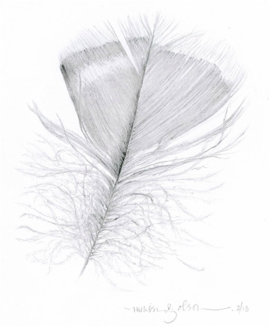 graphite drawing of feather