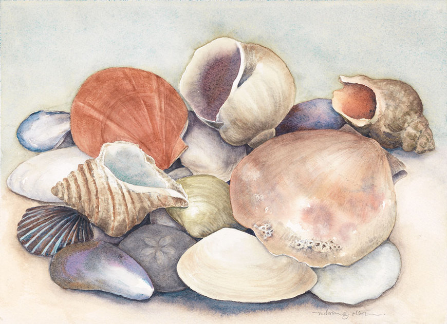 watercolor painting of shells
